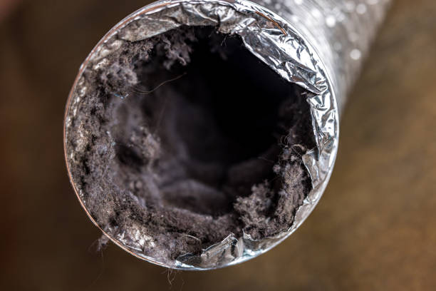 Best Dryer Vent Cleaning Services  in Ewa Beach, HI